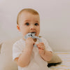 Jellystone Designs - Koala Teether Assorted