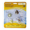 Safari - Life Cycle of a Spider