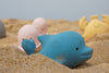 Tikiri - My First Ocean Buddy Dolphin