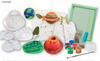 4M - Green Science Paper Making