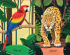 Usborne - Snap Jungle