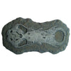 Discover Science - Australian Fossil Find