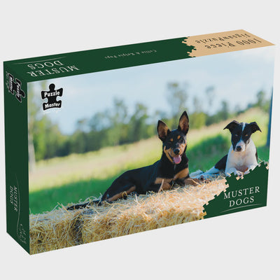 Puzzle Master - Puzzle 1000 piece Muster Dogs Collie & Kelpie Pups