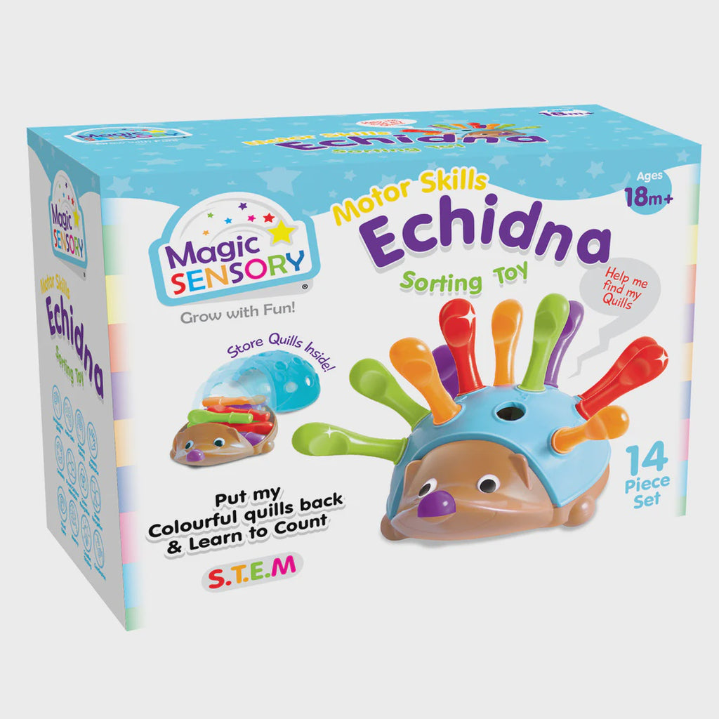 Magic Sensory - Motor Skills Sorting Toy Echidna