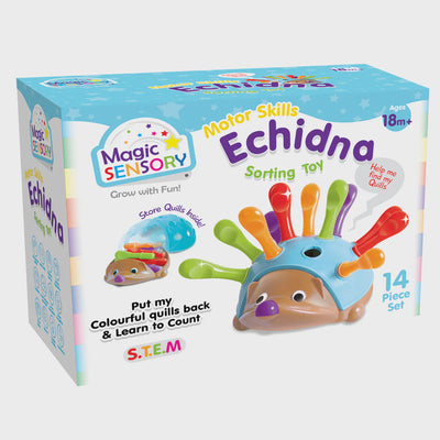 Magic Sensory - Motor Skills Sorting Toy Echidna