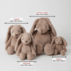 Jiggle & Giggle - Bunny Assorted Colours Extra Large