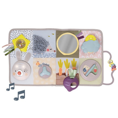 TAF Toys - Developmental Activity Centre