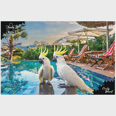 Puzzle Master - Puzzle 1000 piece Cocky Resort