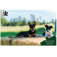Puzzle Master - Puzzle 1000 piece Muster Dogs Collie & Kelpie Pups