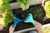 Quut Toys - Raki Rake Assorted Colours