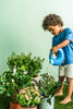 Quut Toys - Cana Watering Can Large Assorted Colours