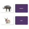Picture My Picture - Flashcards Nouns