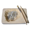 Discover Science - Australian Fossil Find