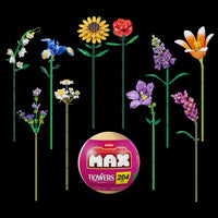 Zuru - MAX Premium Long Flower Series Assorted