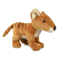 Korimco - Tasmanian Tiger
