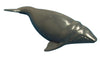 Science & Nature - Animals of Australia Small Australian Sealife Assorted Styles