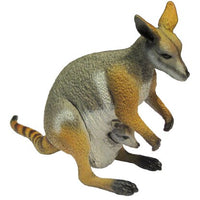 Science & Nature - Animals of Australia Yellow-Footed Rock Wallaby