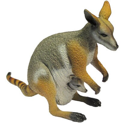 Science & Nature - Animals of Australia Yellow-Footed Rock Wallaby
