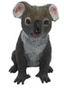 Science & Nature - Animals of Australia Koala