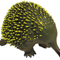 Science & Nature - Animals of Australia Echidna