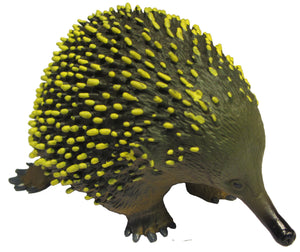 Science & Nature - Animals of Australia Echidna