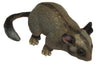 Science & Nature - Animals of Australia Leadbeater's Possum