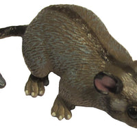 Science & Nature - Animals of Australia Leadbeater's Possum