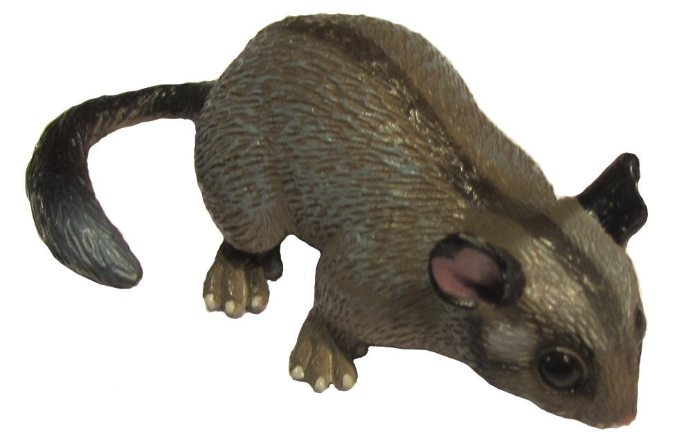 Science & Nature - Animals of Australia Leadbeater's Possum