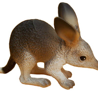Science & Nature - Animals of Australia Bilby