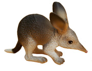 Science & Nature - Animals of Australia Bilby