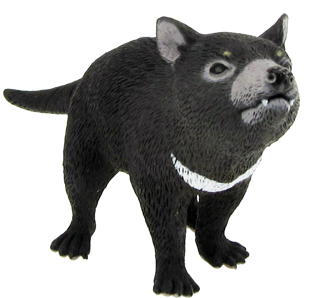 Science & Nature - Animals of Australia Tasmanian Devil