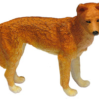 Science & Nature - Animals of Australia Dingo
