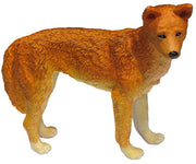 Science & Nature - Animals of Australia Dingo