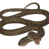 Science & Nature - Animals of Australia Brown Snake