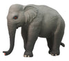 Science & Nature - Small Wild Animals Assorted Styles