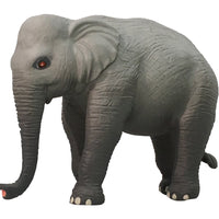 Science & Nature - Small Wild Animals Assorted Styles