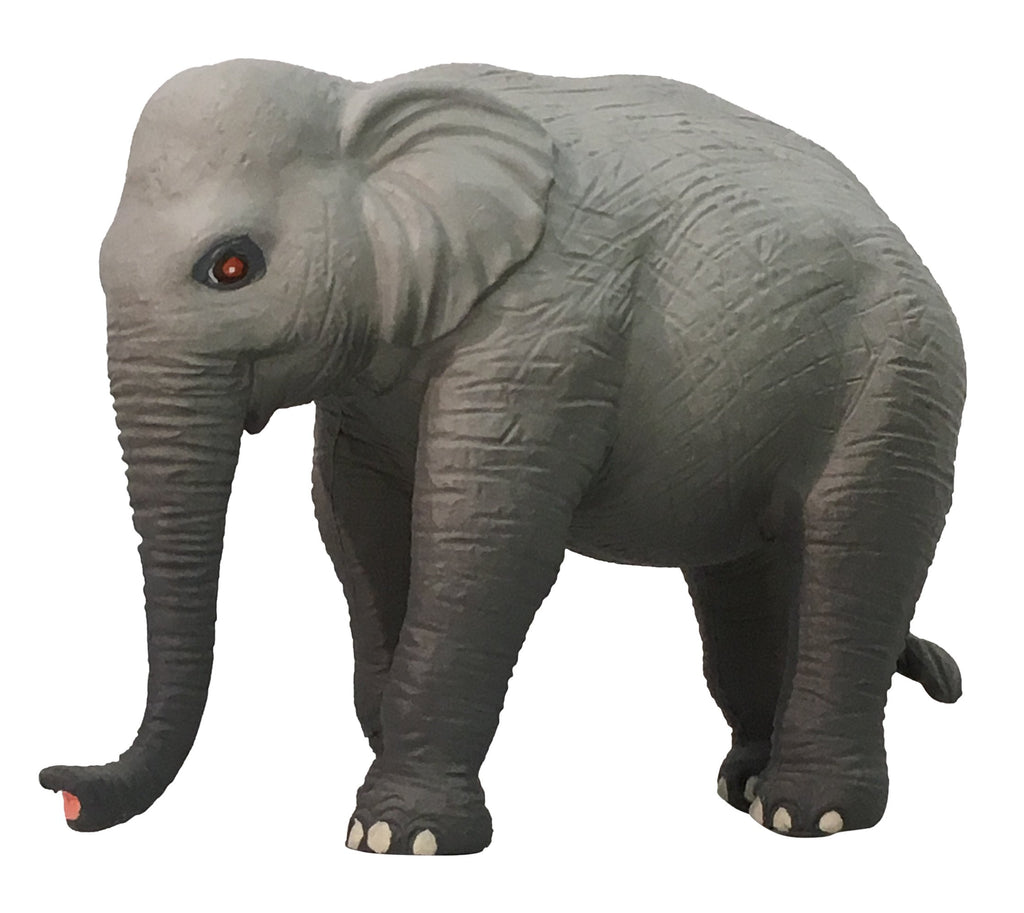Science & Nature - Small Wild Animals Assorted Styles