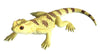 Science & Nature - Animals of Australia Small Australian Frogs & Reptiles Assorted Styles
