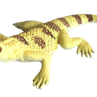 Science & Nature - Animals of Australia Small Australian Frogs & Reptiles Assorted Styles