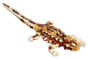 Science & Nature - Animals of Australia Thorny Devil