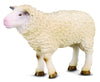 Collecta - Sheep