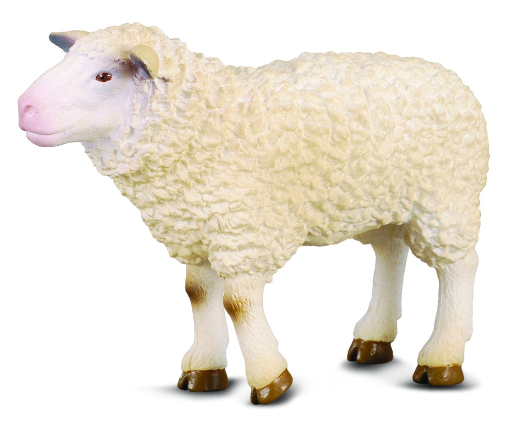 Collecta - Sheep