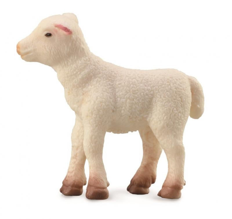 Collecta - Lamb Standing