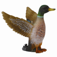 Collecta - Mallard Duck