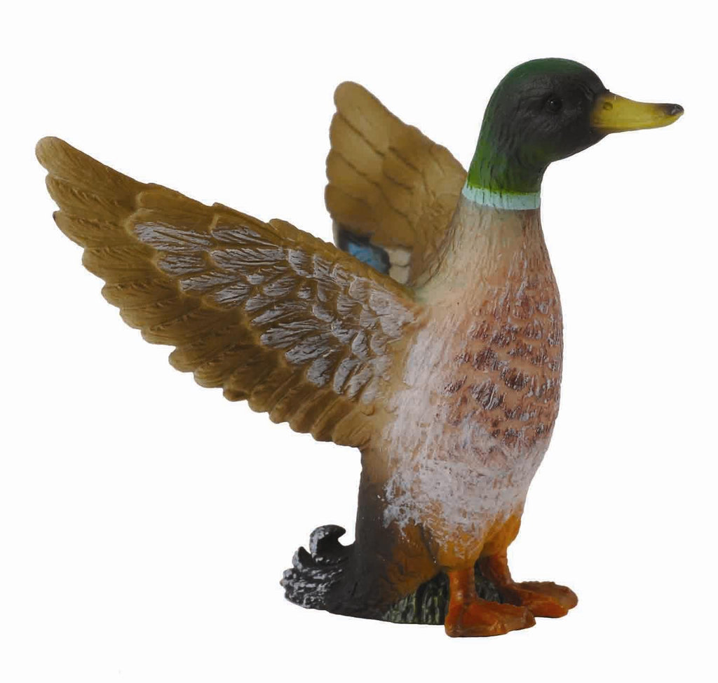 Collecta - Mallard Duck