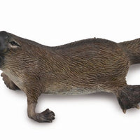 Collecta - Platypus