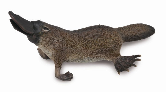 Collecta - Platypus