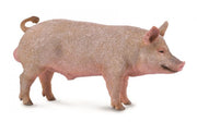 Collecta - Pig Boar