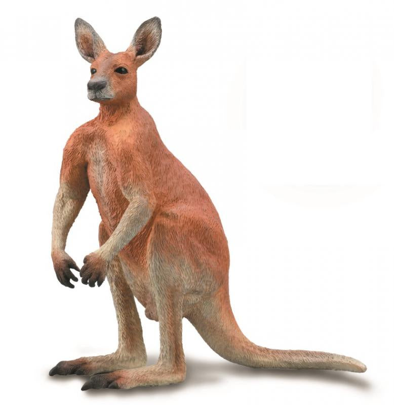 Collecta - Red Kangaroo Male