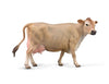 Collecta - Jersey Cow